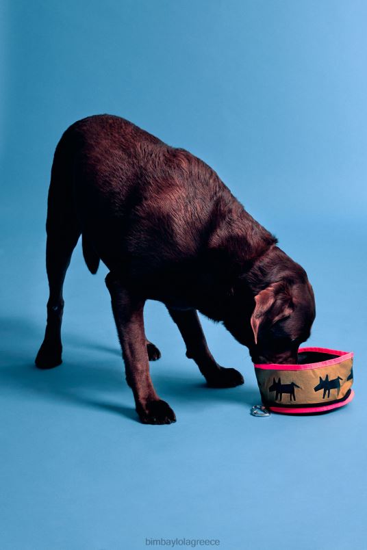 αξεσουάρ Bimba Y Lola λογότυπο μπολ με νερό για κατοικίδια L2L28969 χακί